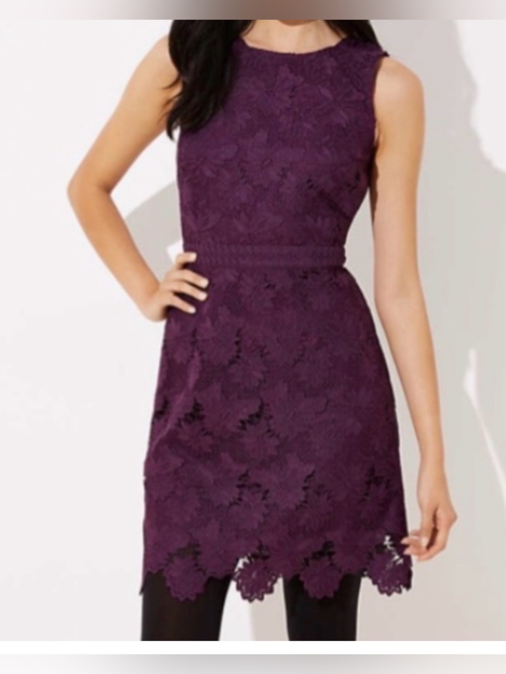 LOFT Purple Floral Lace Dress Size 14